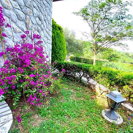 Apartment Mediterranean Garden Rijeka Zewnętrze zdjęcie