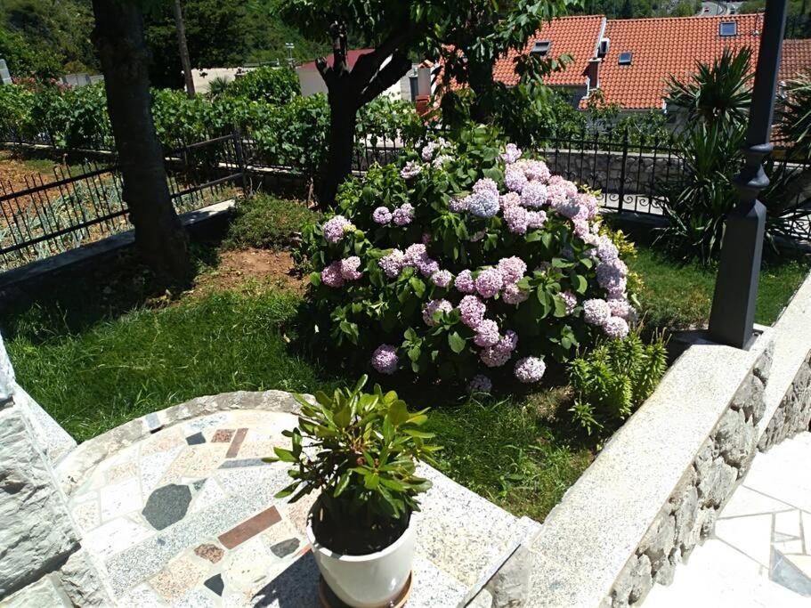 Apartment Mediterranean Garden Rijeka Zewnętrze zdjęcie