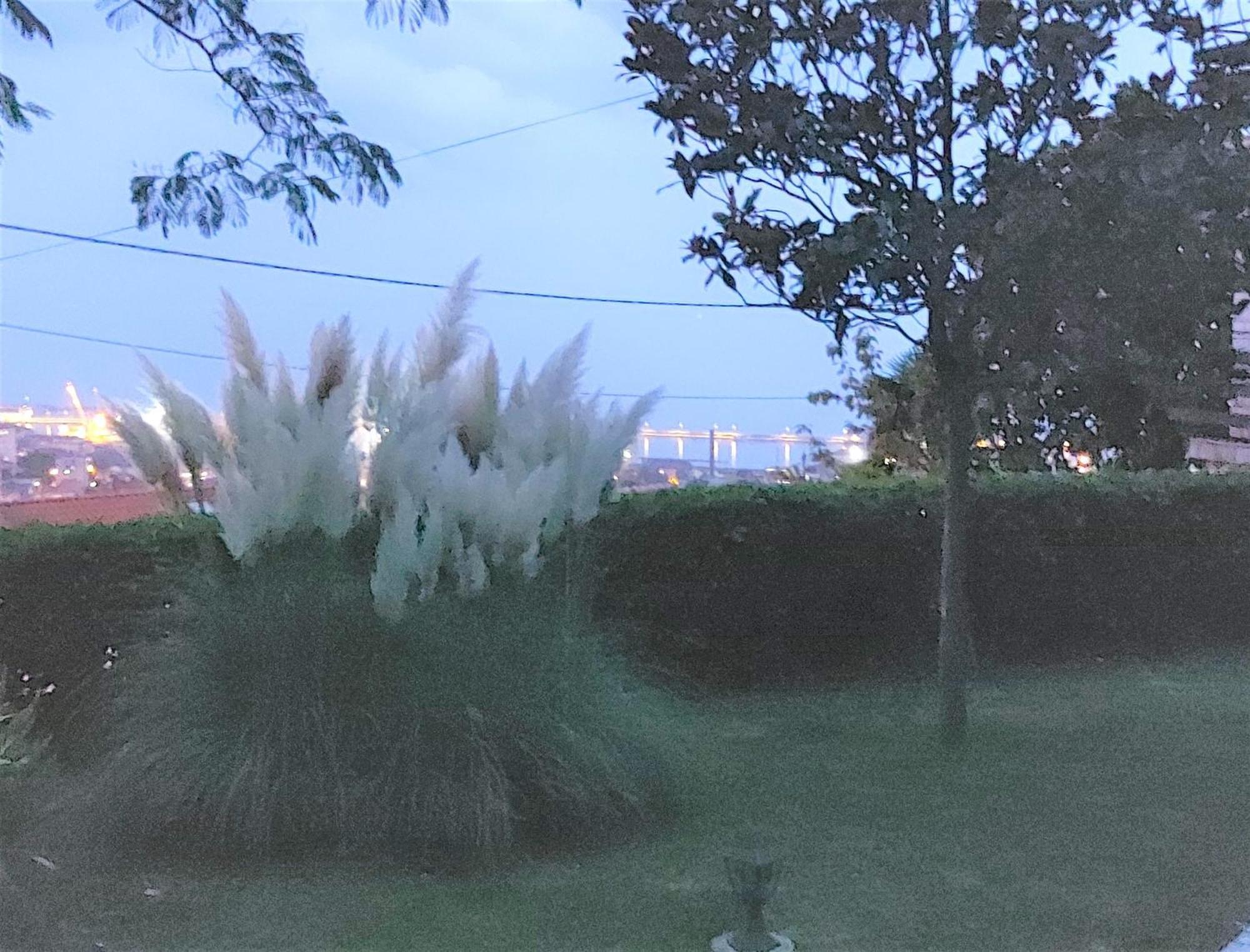 Apartment Mediterranean Garden Rijeka Zewnętrze zdjęcie