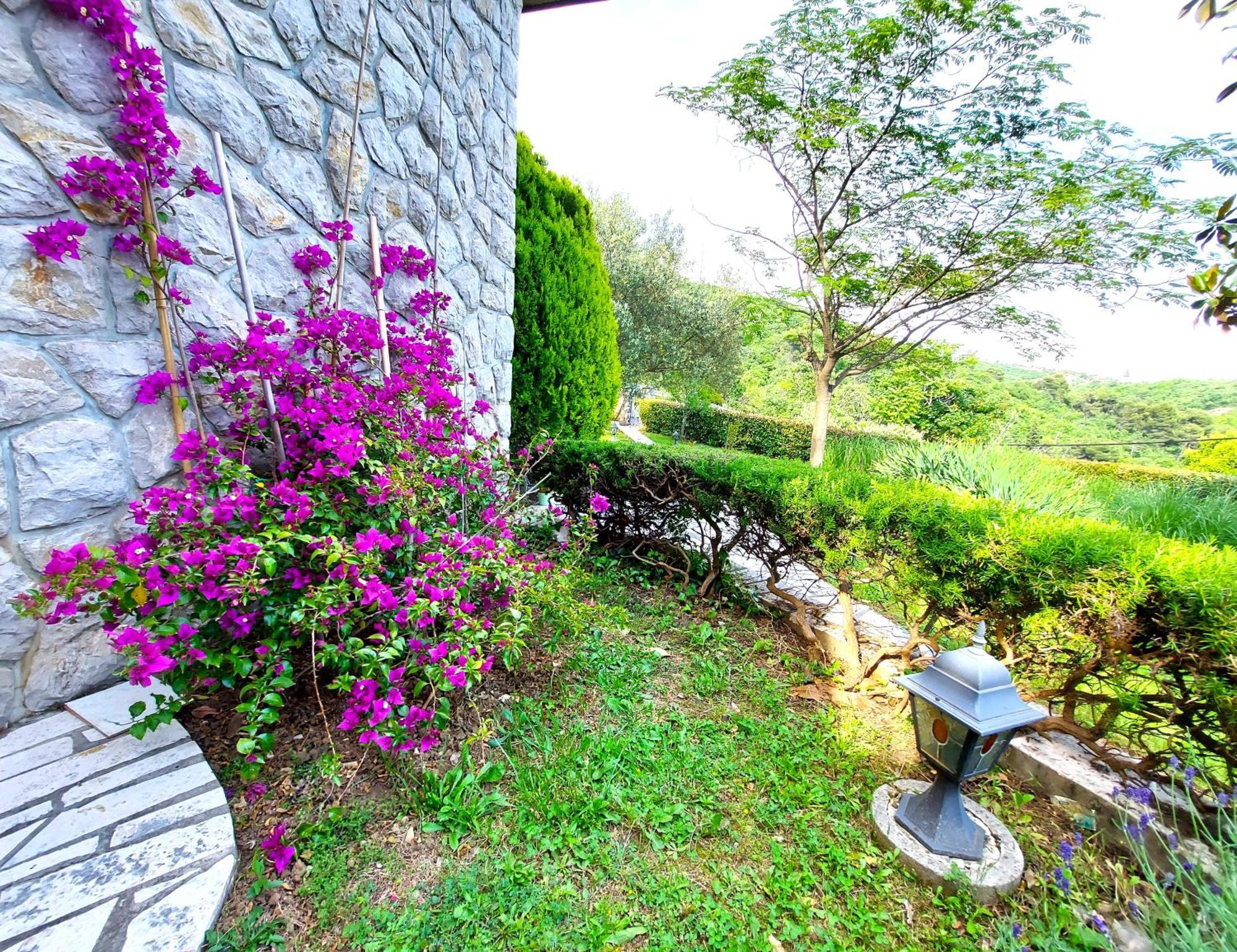 Apartment Mediterranean Garden Rijeka Zewnętrze zdjęcie